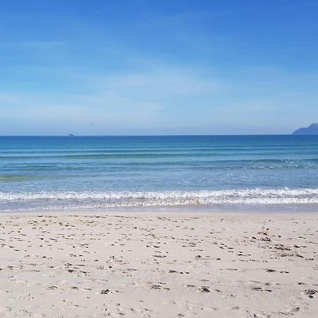 Ideal Property Mallorca - Playasol 阿尔库迪亚港 外观 照片