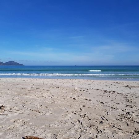 Ideal Property Mallorca - Playasol 阿尔库迪亚港 外观 照片