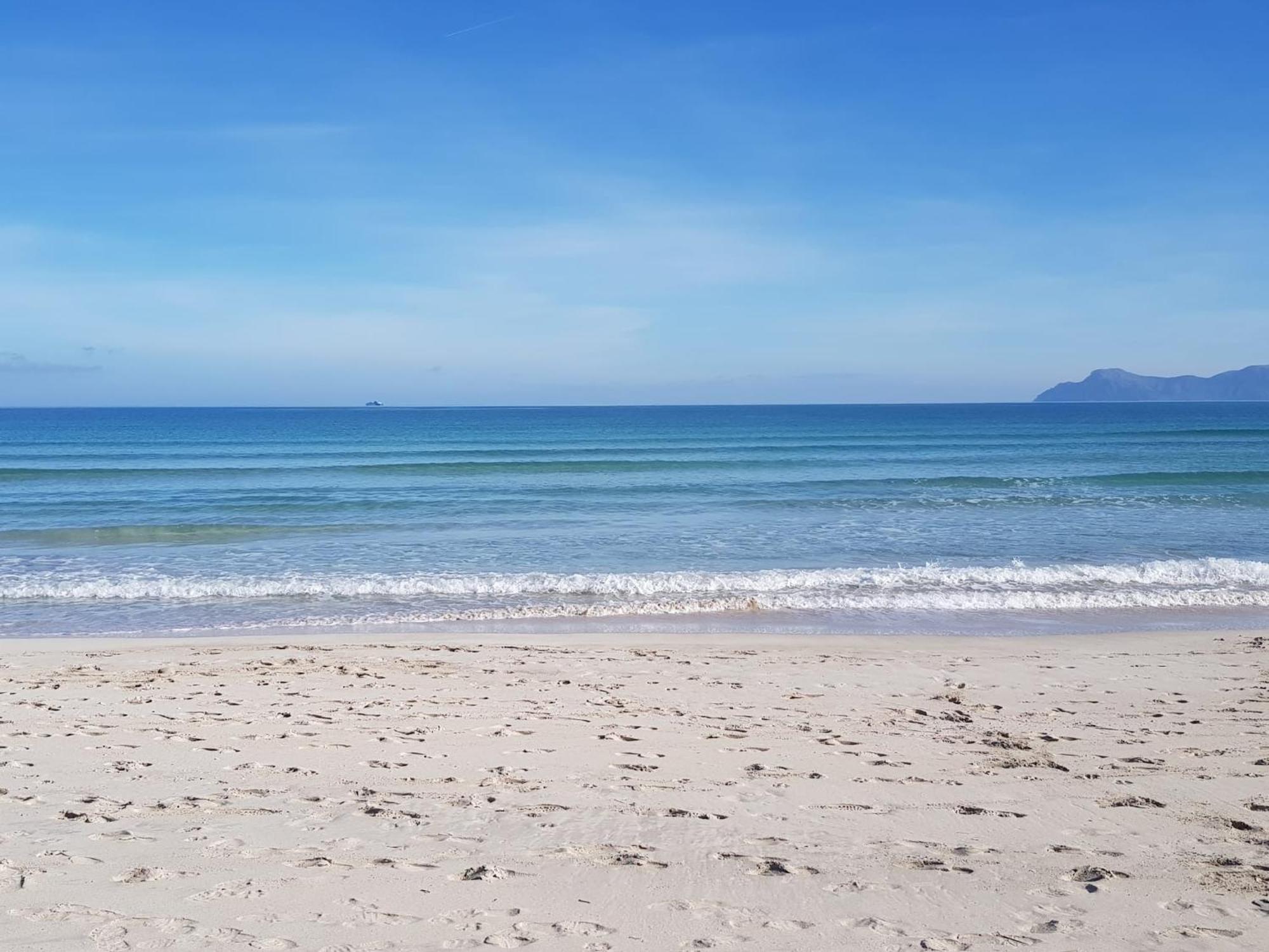Ideal Property Mallorca - Playasol 阿尔库迪亚港 外观 照片