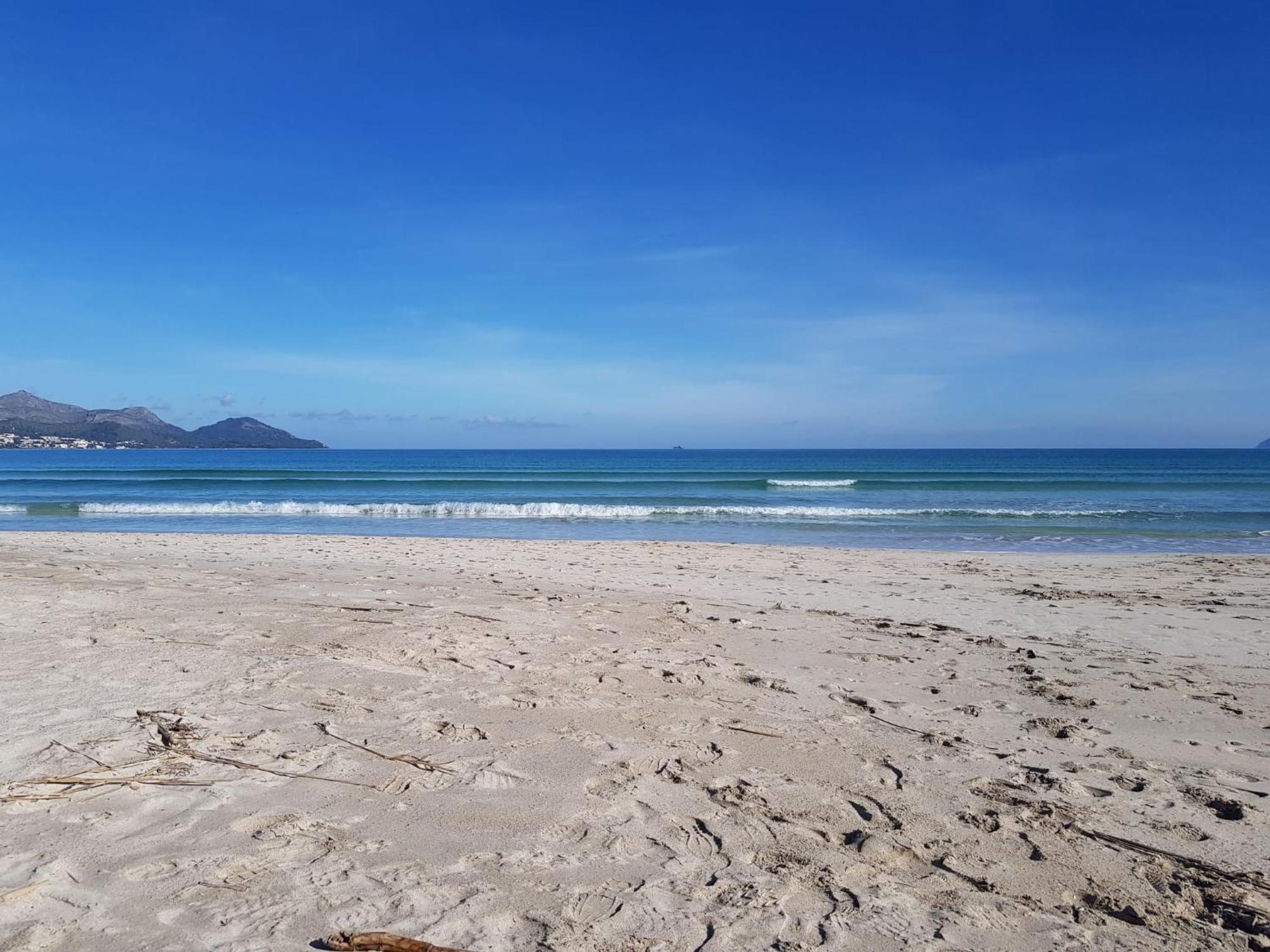 Ideal Property Mallorca - Playasol 阿尔库迪亚港 外观 照片