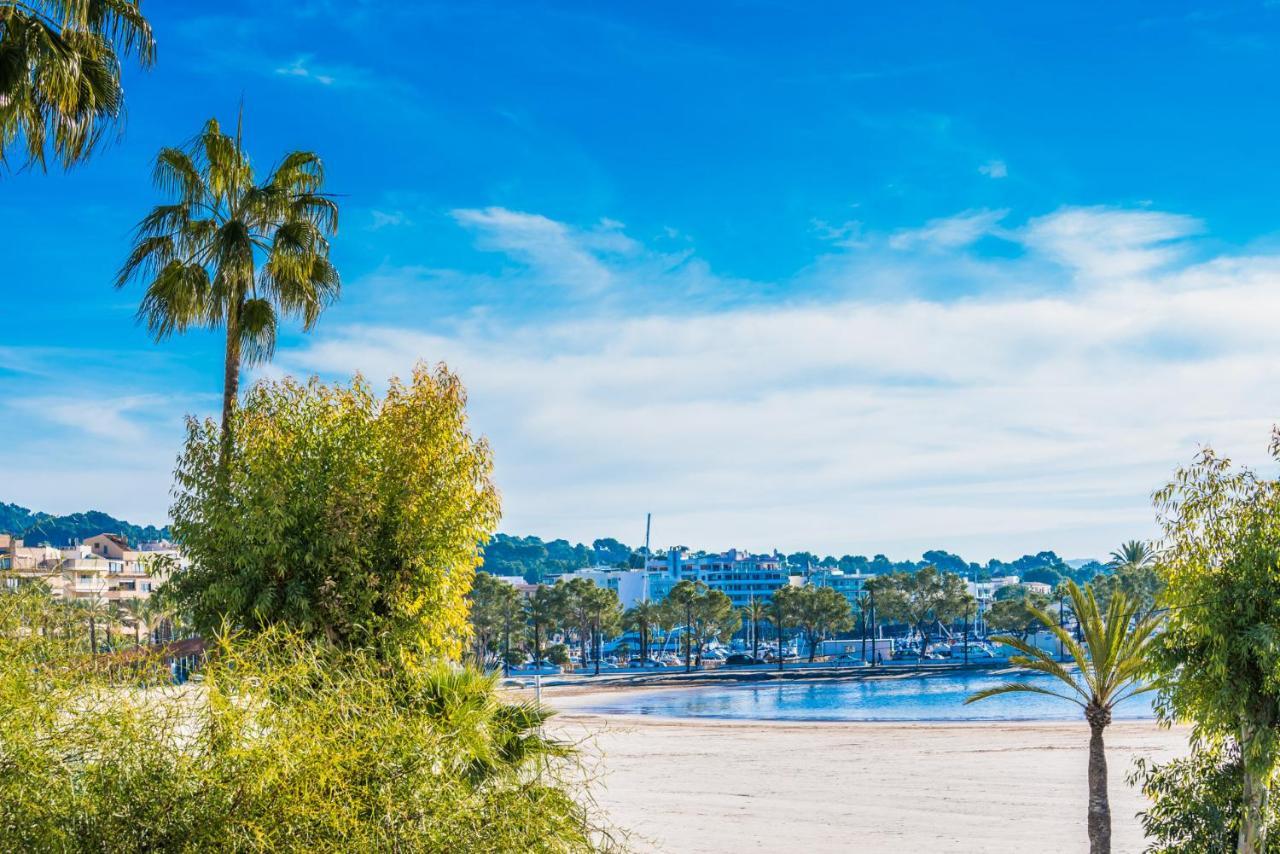 Ideal Property Mallorca - Playasol 阿尔库迪亚港 外观 照片