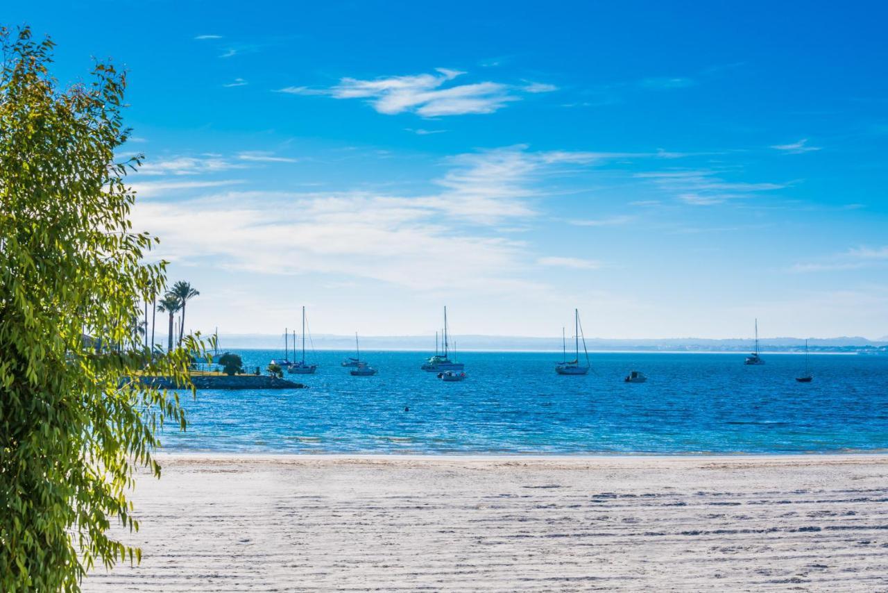Ideal Property Mallorca - Playasol 阿尔库迪亚港 外观 照片